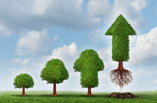 Ensuring Your Entrepreneurialism Is Insured