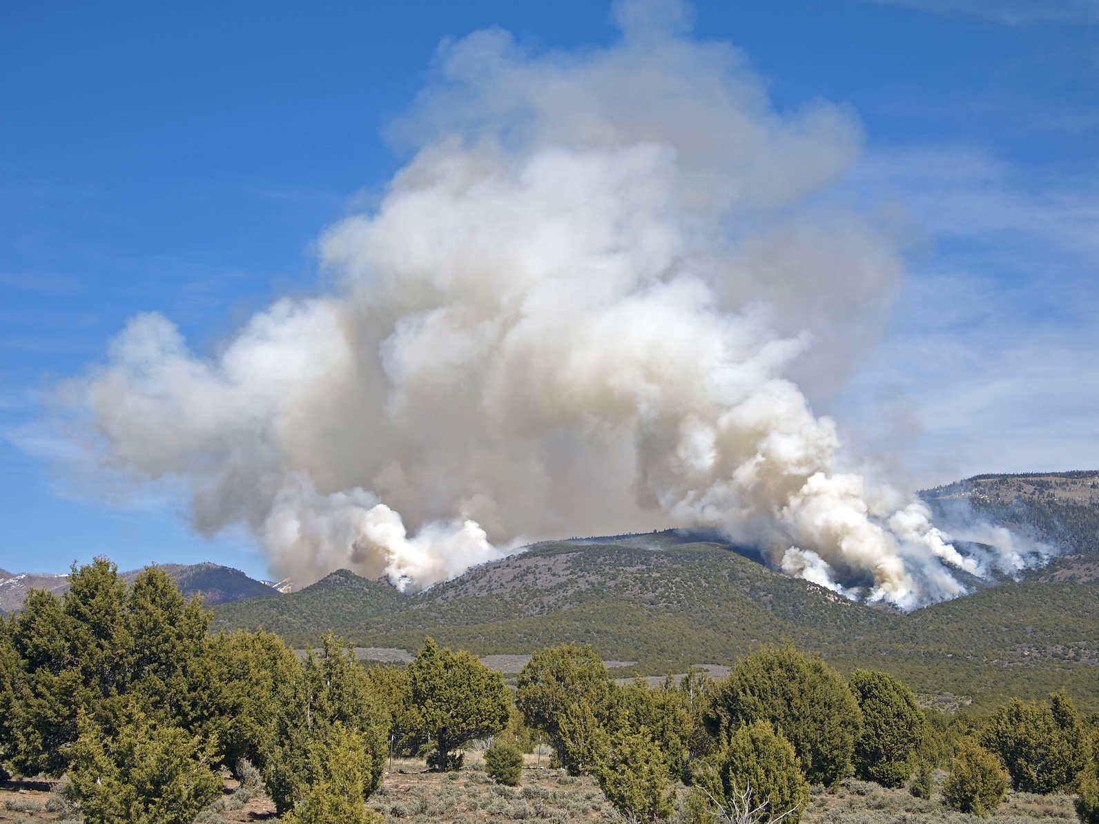 Wildfire Safety Tips To Minimize Your Risk