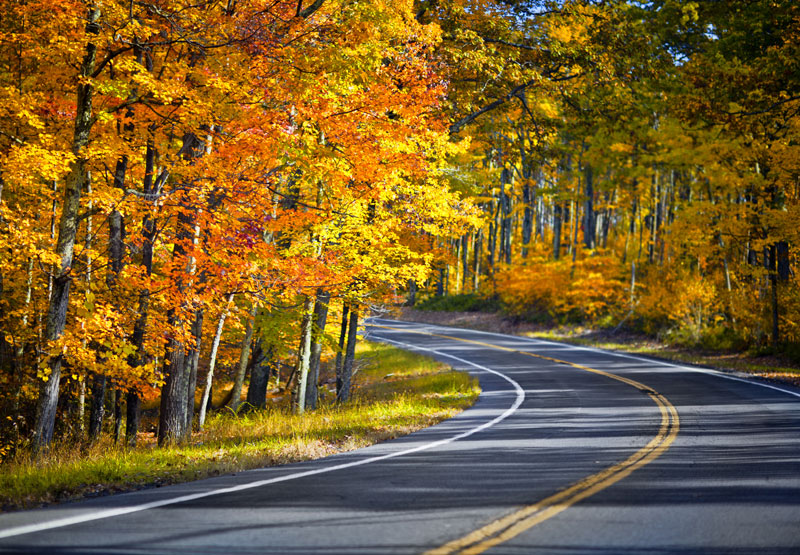 Check Out These Thanksgiving Road Trip Tips to Help You Travel Safely