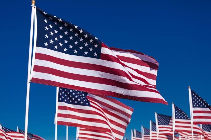 Let’s Honor Our Heroes This Veterans Day