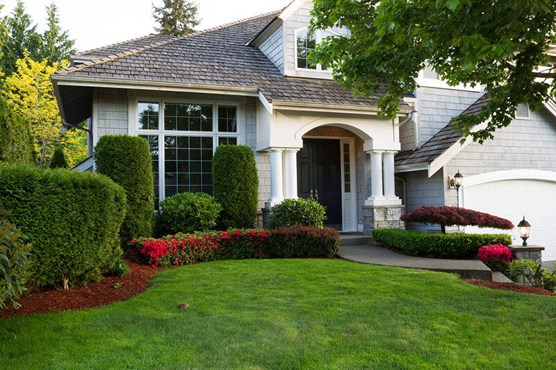Stay on Top of These Tree Maintenance Tips