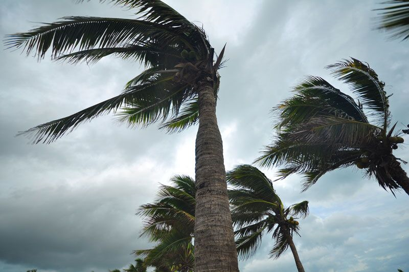 How to Help Your Business Recover from a Natural Disaster