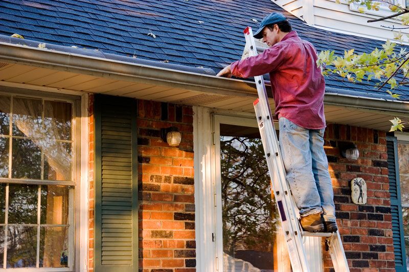 Essential Outdoor Maintenance Tasks to Take Care of This Fall