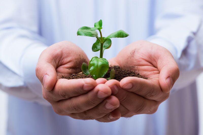 How to Celebrate Earth Day in Your Day-to-Day Life