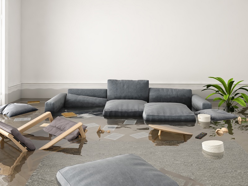 Essential Tips to Protect Your Home from Water Damage