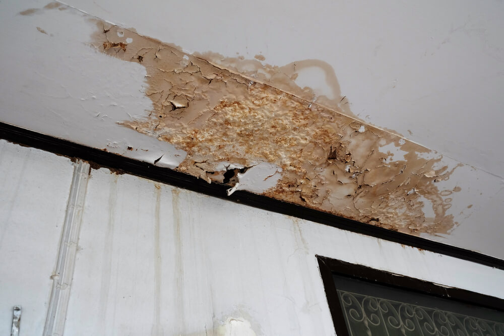 Water Damage Restoration