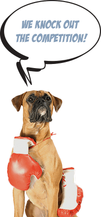 Dog with message